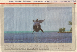 Dolfijn in de krant - Petra de Groot