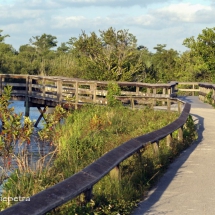 Anhinga Trail © fotografiepetra