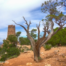 Grand Canyon 1 © fotografiepetra