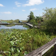 Indianen dorp in het moeras 1 © fotografiepetra