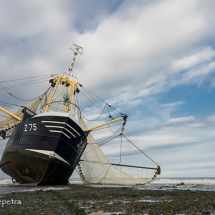 Kotter Petten © fotografiepetra