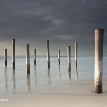 Palen op het strand van Petten 1 © fotografiepetra