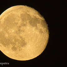 Volle maan 20-07-2016 © fotografiepetra