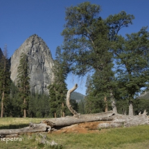 Yosemite 2 © fotografiepetra