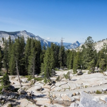 Yosemite 4 © fotografiepetra