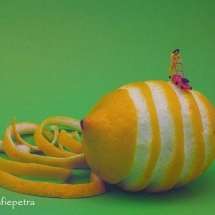 Grasmaaier over citroen © fotografiepetra