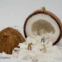 Kokosnoot met bergbeklimmers © fotografiepetra