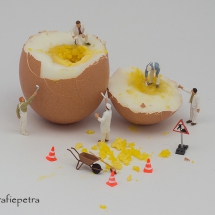 Schilders op het ei © fotografiepetra