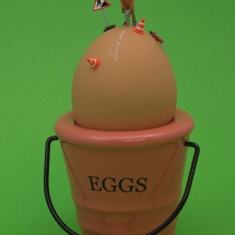 Wegwerkzaamheden op het ei © fotografiepetra