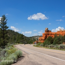 Red Canyon NP de weg © fotografiepetra