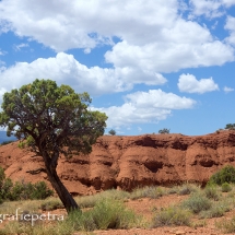 Capitol Reef NP © fotografiepetra