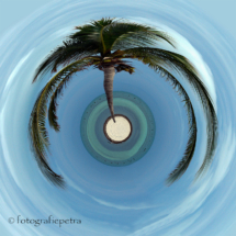 Little Planet Palmboom © fotografiepetra