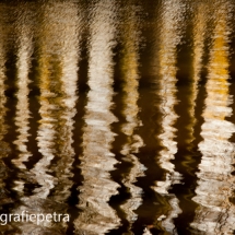 Spiegeling bomen © fotografiepetra