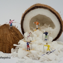 Expositie 2018 miniatuur kokosnoot © fotografiepetra