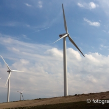 Windmolens Maasvlakte Rotterdam © fotografiepetra