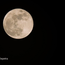 Super blauwe maan 31-01-2018 © fotografiepetra