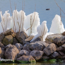 Kruiend ijs Geestmerambacht 1 © fotografiepetra