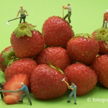Aardbeien bewerken © fotografiepetra