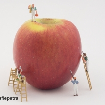 De appel schilderen © fotografiepetra
