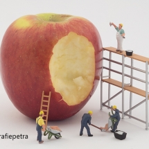 Stucadors repareren de appel © fotografiepetra