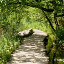 Wandellpad Plitvice meren © fotografiepetra