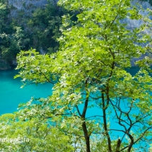 Door de bomen Plitvice meren © fotografiepetra