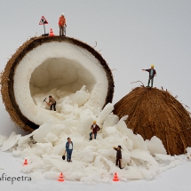 kokosnoot met werklieden © fotografiepetra