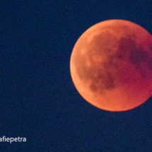 Bloedmaan 28 juli 2018 Colse up @ fotografiepetra