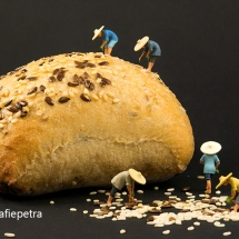 Broodje met sesamzaadjes bedekken © fotografiepetra