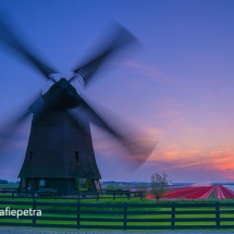 Schermermolen aan de dijk & bollenveld © fotografiepetra