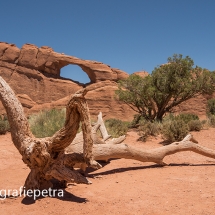 Arches 1© fotografiepetra