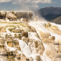 Canary Spring Yellowstone © fotografiepetra