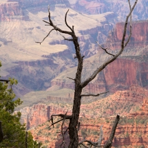 Grand Canyon NR © fotografiepetra