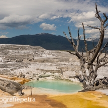 Ongelooflijk Yellowstone © fotografiepetra