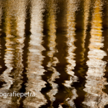 Water bruin 1 abstract© fotografiepetra
