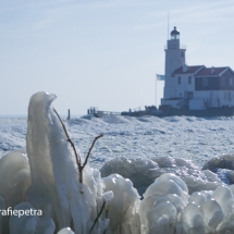 Paard van Marken Winter © fotografiepetra