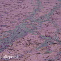 Abstract Paars 7© FotografiePetra