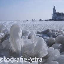 Paard van Marken © FotografiePetra