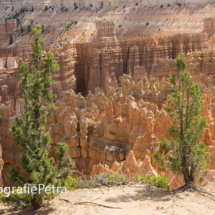 Bryce Canyon NP 5 © FotografiePetra