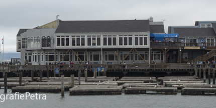 Panorama 1 Fishermanswharf Pier 39© FotografiePetra