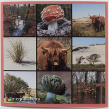 Serie collage 560 © FotografiePetra