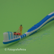 Tandenborstel maaien © FotografiePetra